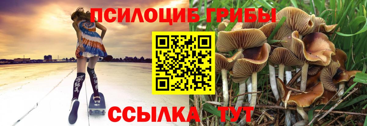Галлюциногенные грибы мицелий Рязань